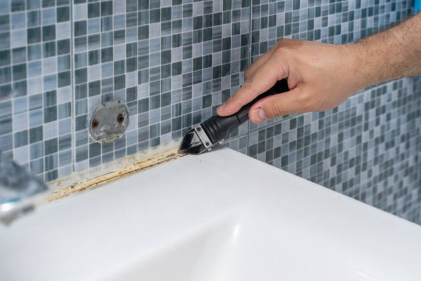 Best Mold Cleaning Services  in Galesville, MD
