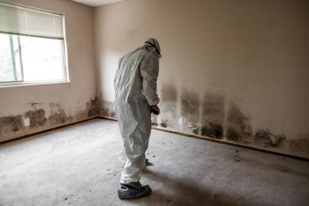 Best Crawl Space Mold Removal  in Galesville, MD